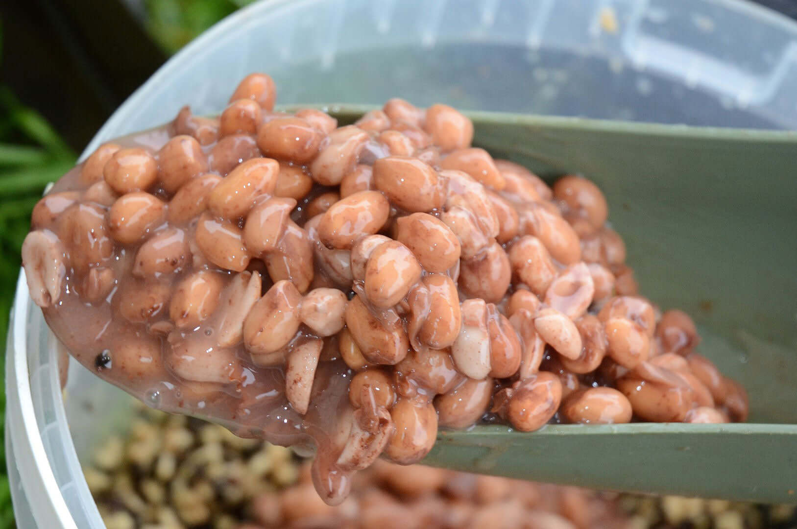 Stoned peanuts rule, OK in carp particle baits