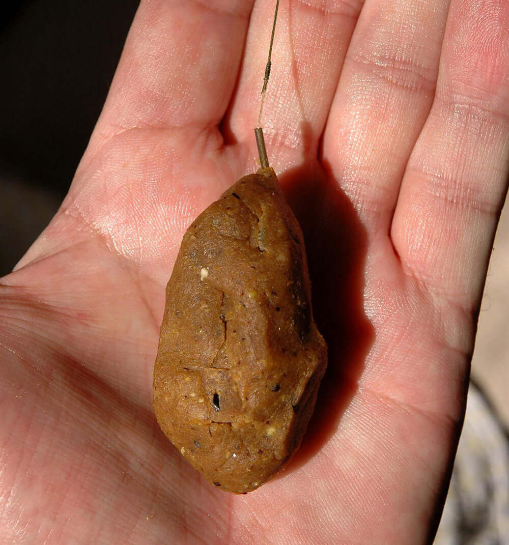 A cheap, nutritious boilie recipe - Haith's UK