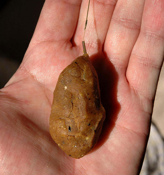 A cheap, nutritious boilie recipe - Haith's UK