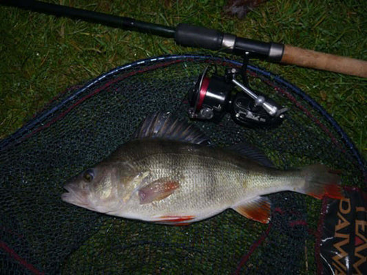 A fishing day ticket to thrive - Haith's UK