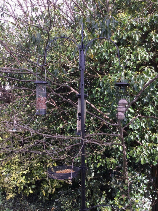 A new bird feeding station - Haith's UK