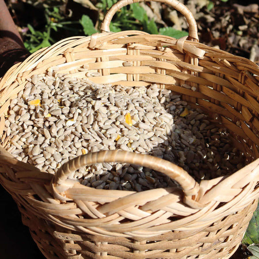 A Record Breaking Bird Food - Haith's UK