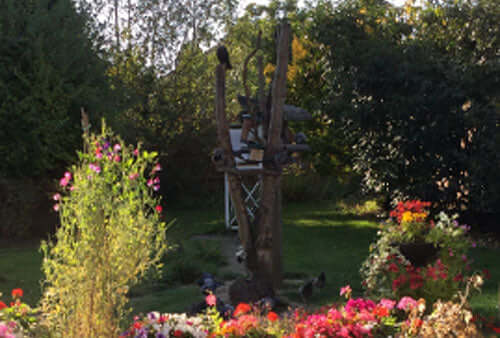 A routine week at the feeders - Haith's UK