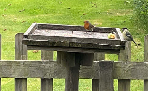 A staycation with nature - Haith's UK