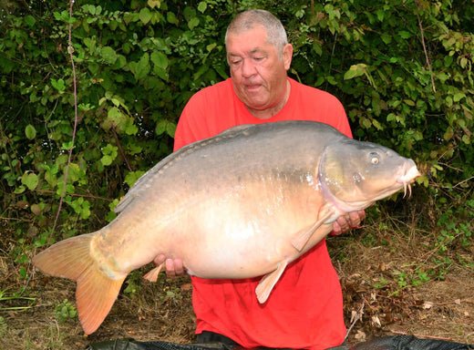 A trip to die for! - Haith's UK
