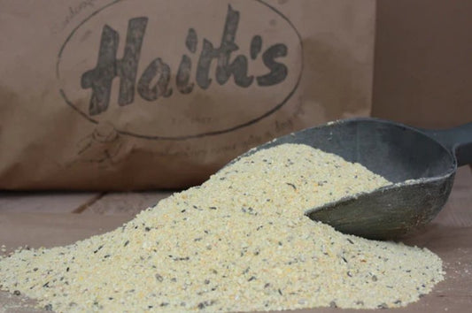Ant's Favourite Haith's Bait: Top Picks and Tips - Haith's UK