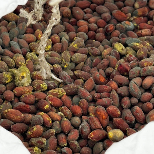 Avoiding Harmful Foods: What Not to Feed Birds and Why - Haith's UK