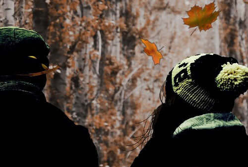 Awesome autumn facts - Haith's UK