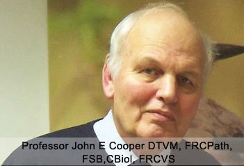 Bird Flu and Wild Birds - Haith's UK