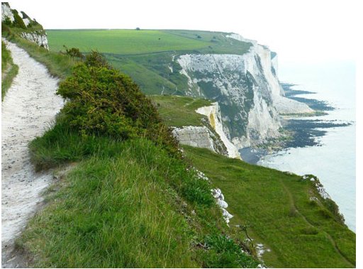 Birdwatching Beyond the Garden: Exploring Birds in Natural Habitats - Haith's UK