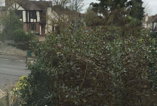 Building the des res aka a nest - Haith's UK