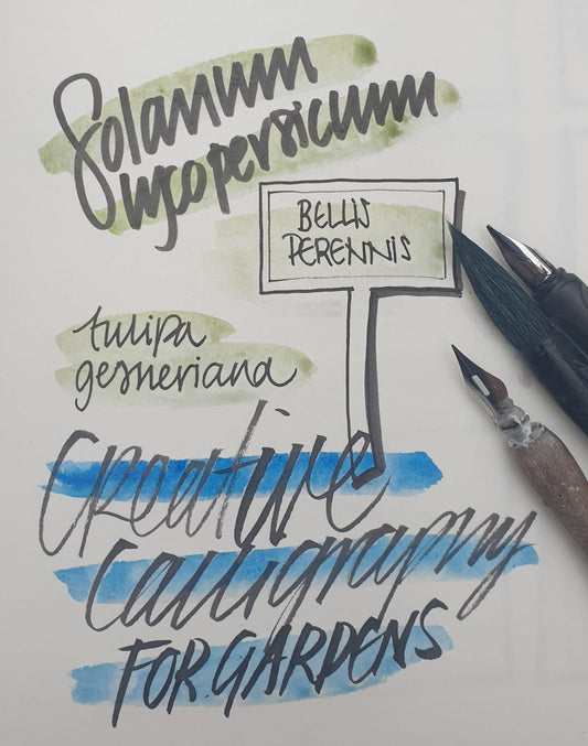 Calligraphy - Haith's UK
