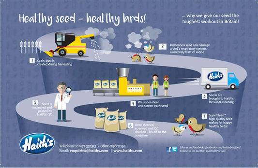 Can You Eat Bird Food? Safety and Nutrition Insights - Haith's UK