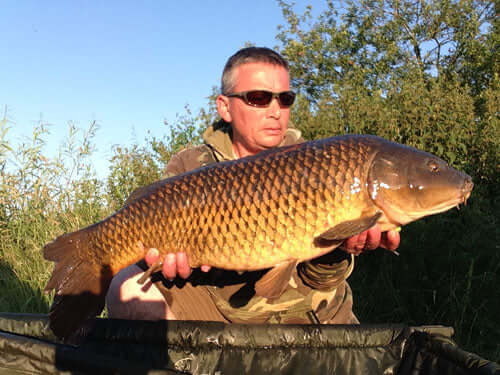 Catch report - Haith's UK