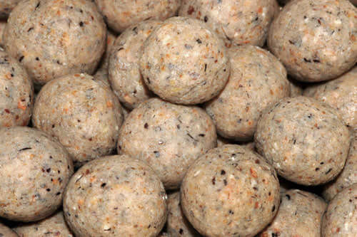 Cheap fishing bait recipes - Haith's UK