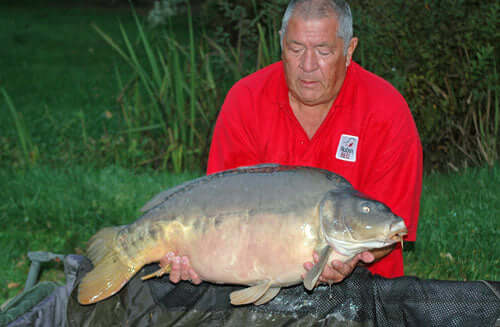Cracking the bird food baits code - Haith's UK