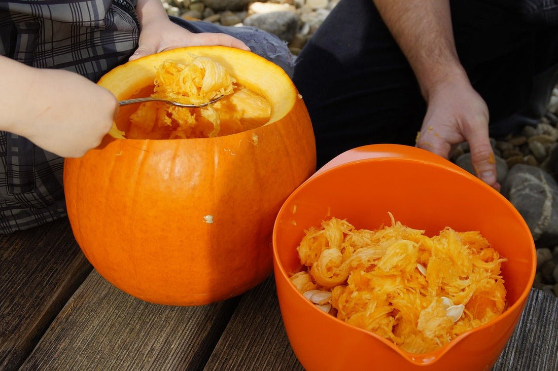 Crafting a Pumpkin Seed Bird Feeder - Haith's UK