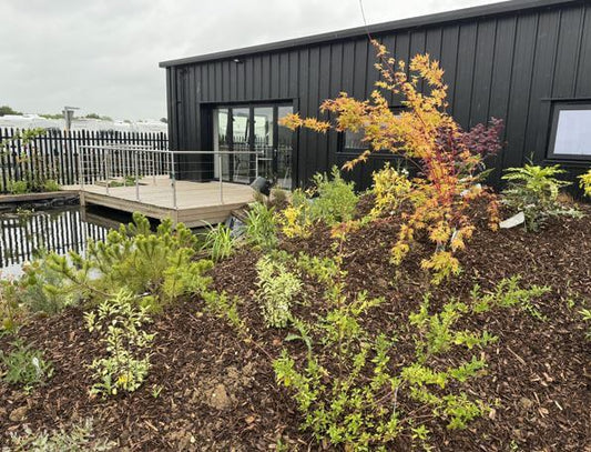 Creating a Bird Garden Against the Odds: Tips for Overcoming Challenges - Haith's UK