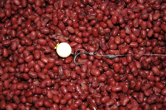 Drawing attention to the hookbait - Haith's UK