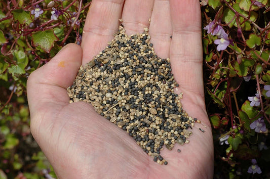 Easisoak- for anglers who fish for carp - Haith's UK