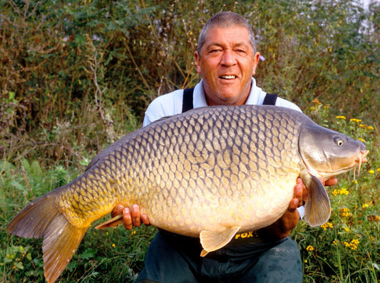 Educated Carp - Haith's UK