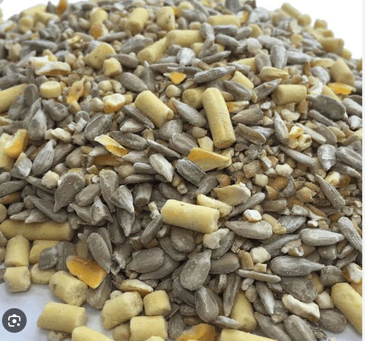 Enjoy Breakfast with the Birds: Tips for Morning Birdwatching - Haith's UK