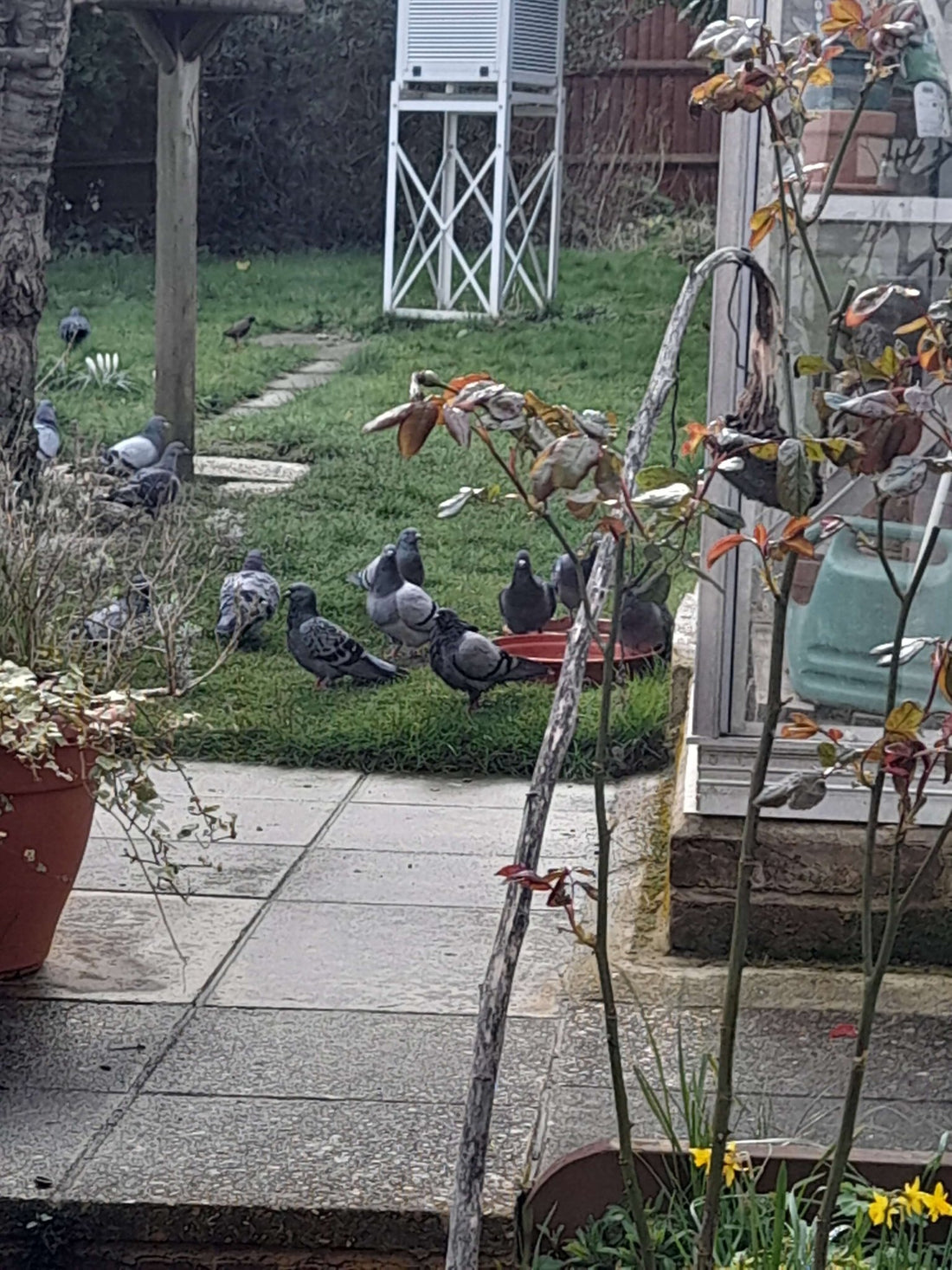 Feeding continuing apace - Haith's UK