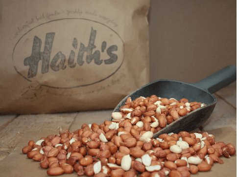 Feeding Peanuts to Wildlife: Benefits and Best Practices - Haith's UK