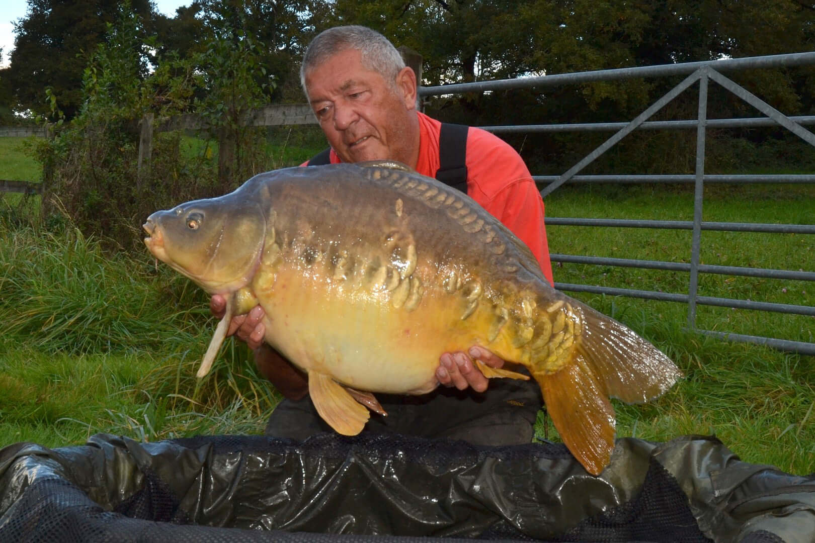 Adam's tench tips  Haith's fishing bait blog