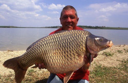 Fishing Adventure in Romania: A Trip to Sarulesti - Haith's UK