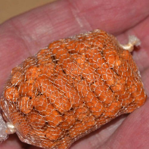 Fishing Hemp and corn - Haith's UK