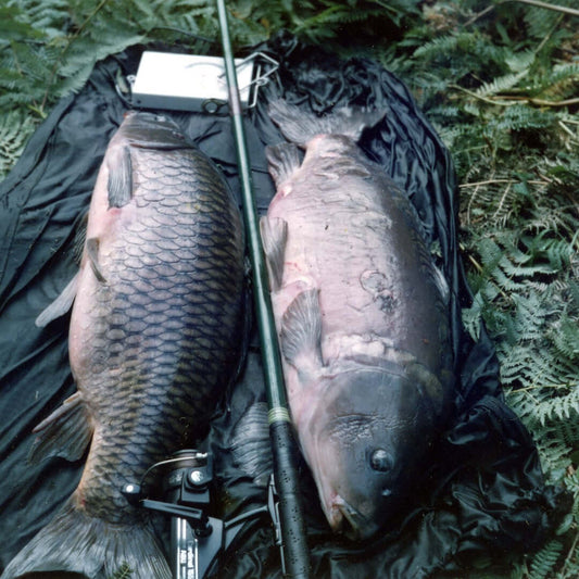 Gelatine (Jelly) Baits - Part 1 - Haith's UK
