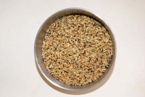 Haith’s Budgie Tonic Seed: Benefits and Feeding Guide - Haith's UK