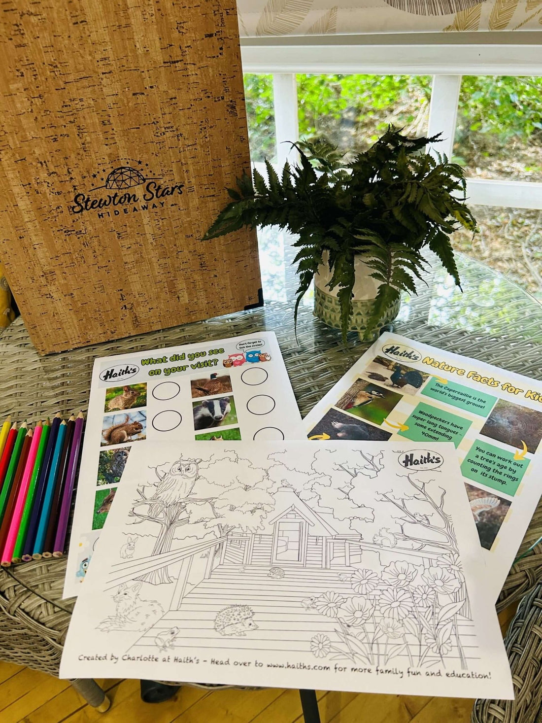 Haith’s Collaboration with 'Stewton Stars Hideaway': Promoting Nature-Friendly Glamping - Haith's UK