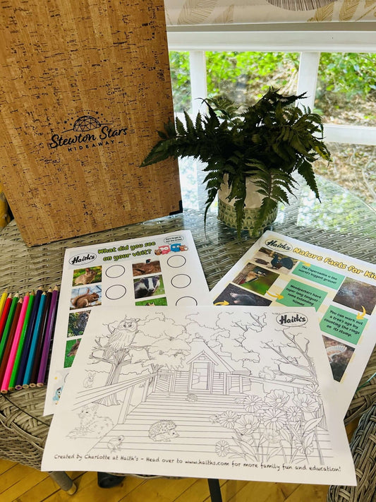 Haith’s Collaboration with 'Stewton Stars Hideaway': Promoting Nature-Friendly Glamping - Haith's UK