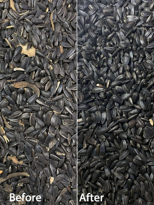 Haith’s SuperClean Bird Seed – Clean, Polished and Perfect for All Birds - Haith's UK