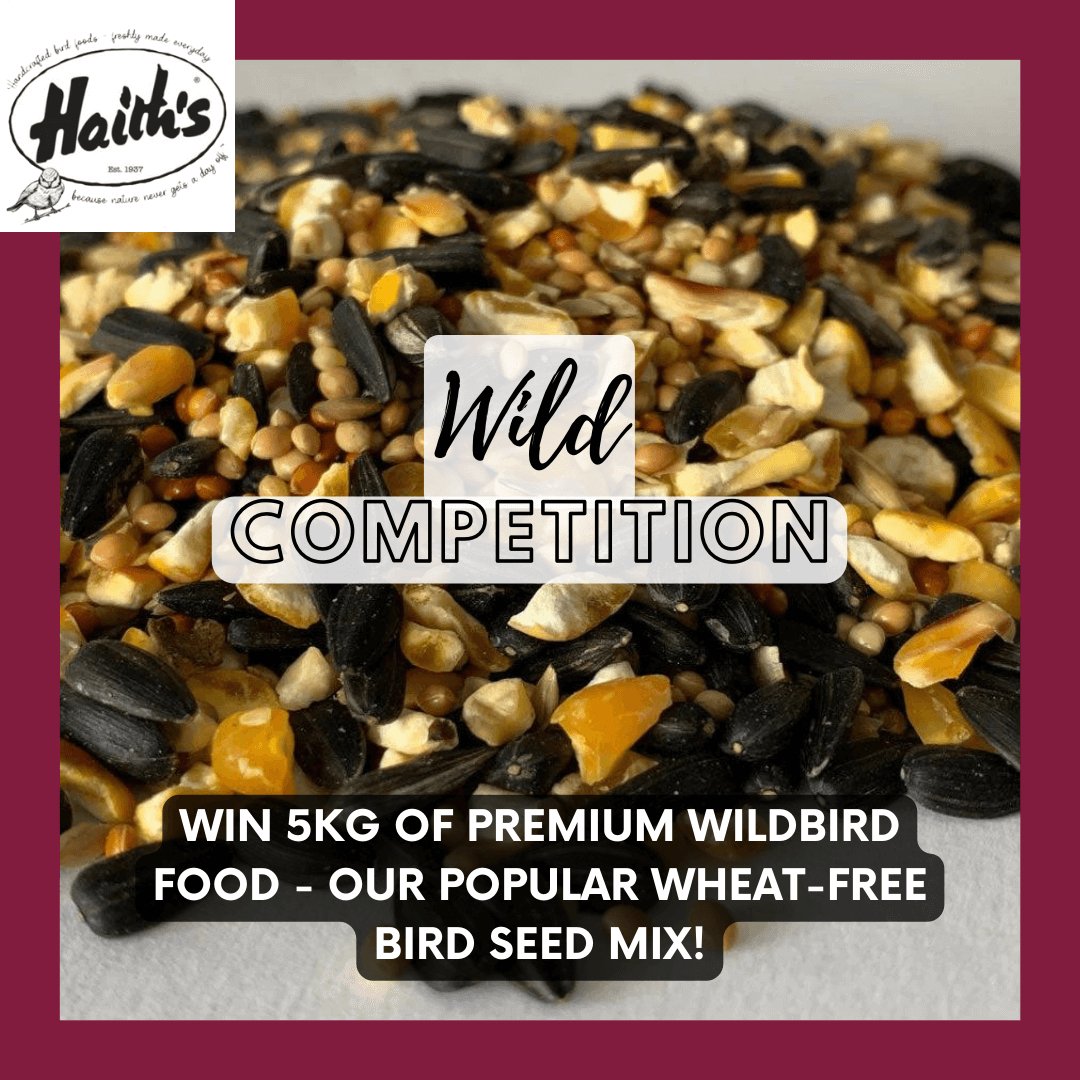 Haith’s Wild Bird Competition: Win 5kg Premium Wildbird Food – our popular wheat-free bird seed mix! - Haith's UK