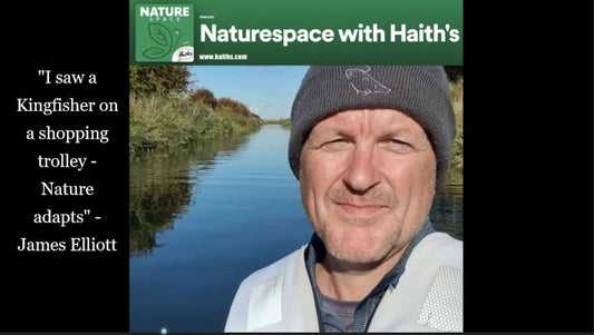 I saw a kingfisher on a trolley - nature adapts - Haith's UK