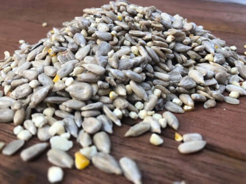 Introducing 'One for All': Our New Premium No-Mess Bird Food Mix - Haith's UK