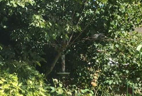 Is this branch taken? - Haith's UK