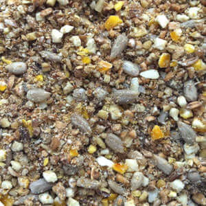 Ken Townley's mealworm discovery - Haith's UK