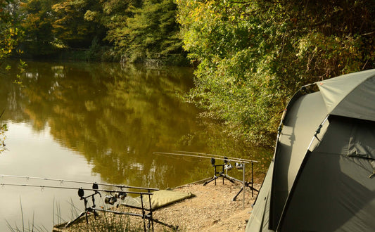 Ken's 'Hunt for Triad' at Le Queroy - Haith's UK