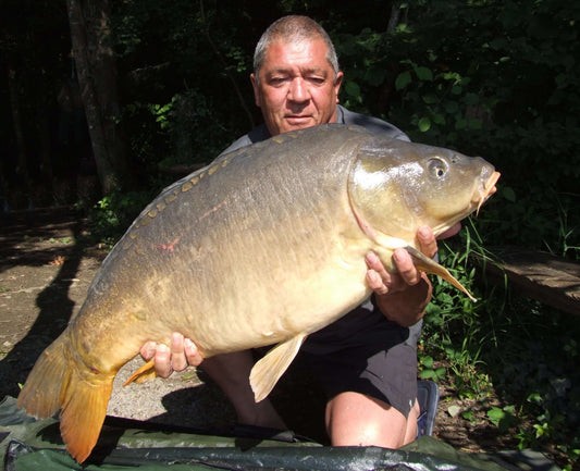 Love and Marriage, Horse & Carriage Go Together… Like RIG AND BAIT (iage!). - Haith's UK