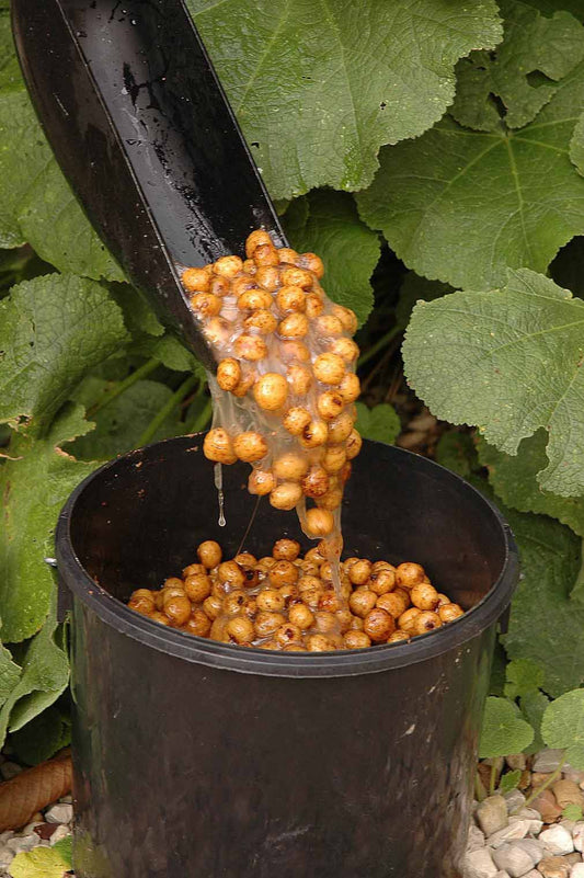 Make your tiger nuts stand out from the crowd - Haith's UK