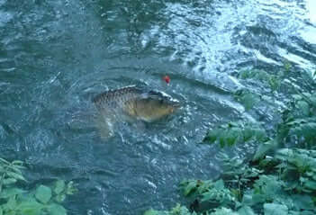 No ordinary fishing lake - Haith's UK