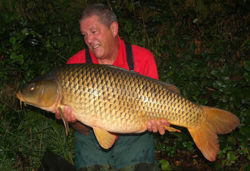 Observation and location – dinner plates - Haith's UK