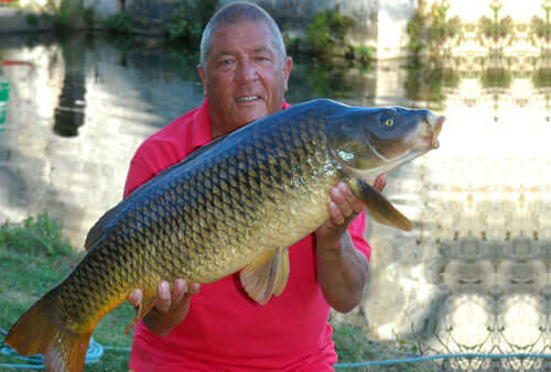 Old dog & new tricks - Haith's UK