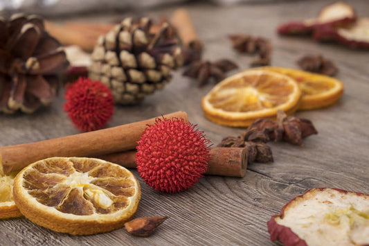 Pinecones - A Symbol of Autumn - Haith's UK