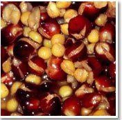 Preparing Fishing Particles with a Pressure Cooker: Step-by-Step Guide - Haith's UK