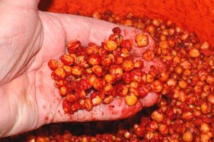 Robin Red Part Two: Effective Usage Tips for Anglers - Haith's UK
